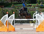 ARIOLDI F AGADIR CampITA2013- S5 1259 : AGADIR, ARIOLDI FRANCESCA, Campionati Italiani 2013, Cattolica, Horse Riviera Resort, foto di Stefano Secchi ©